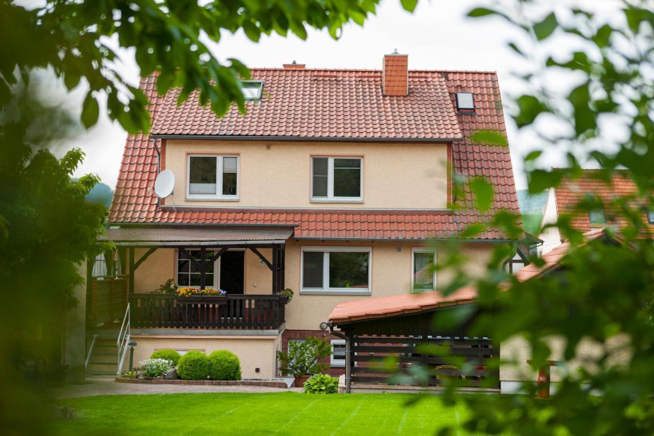 Ferienhaus Og1 "Westerwald Blick" Martinfeld Exterior foto